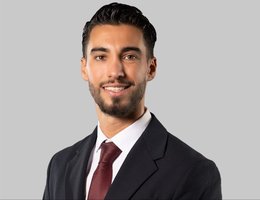 العميل Ugo Palladin