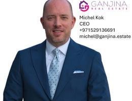 العميل Michel Kok