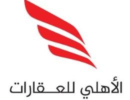 Agent Mohamed Hesham