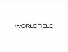 WORLDFIELD REAL ESTATE L.L.C