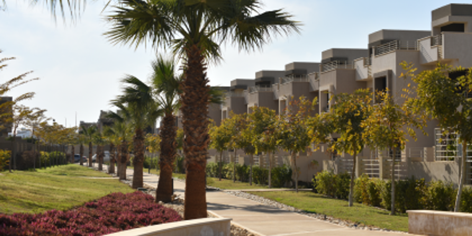 صورة Hero - كمبوندات التجمع الخامس, التجمع الخامس, مدينة القاهرة الجديدة, القاهرة  في Palm Hills من  بالم هيلز قطامية اكستينش