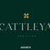 Cattleya Compound 