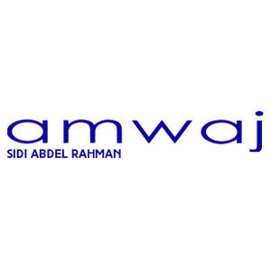 Amwaj by Al Ahly Sabbour developments in Sidi Abdel Rahman, North Coast - Logo