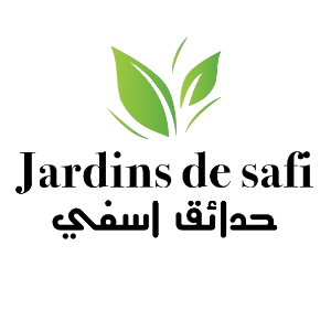  -  شعار أسفي في Les Jardins de Safi من Les Jardins de Safi