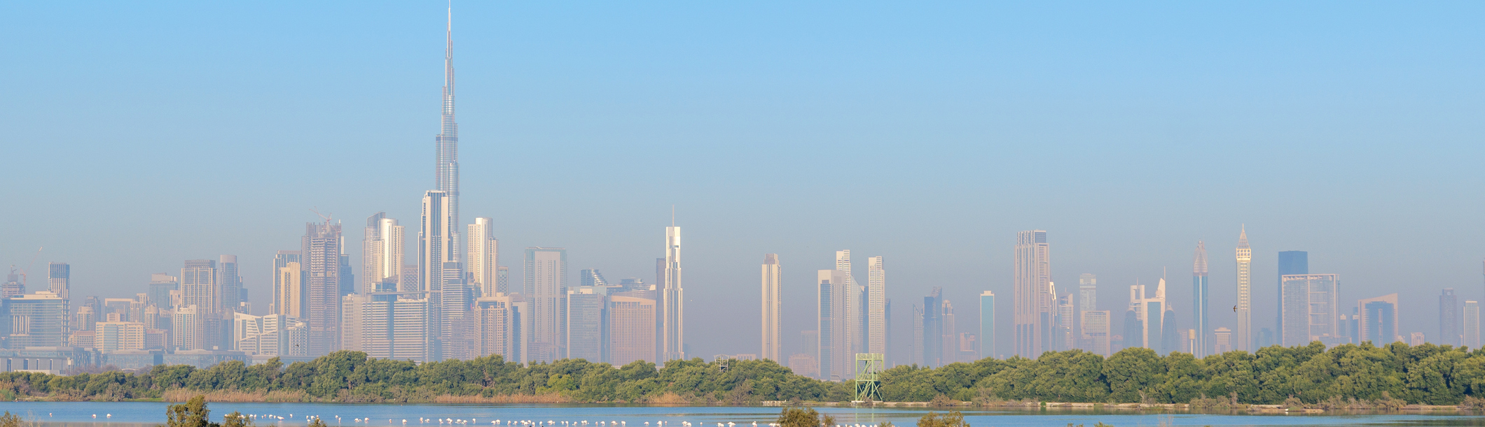 breathtaking view of Dubai skyline from Ras Al Khor, where urban architecture meets nature. Dubai iconic skyscrapers, including Burj Khalifa, contrast with the peaceful wetlands of Dubai