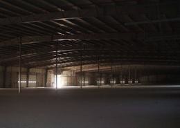 Warehouse for rent in Al Dhafrah - Abu Dhabi