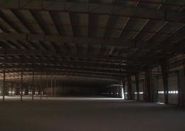 Warehouse for rent in Al Dhafrah - Abu Dhabi