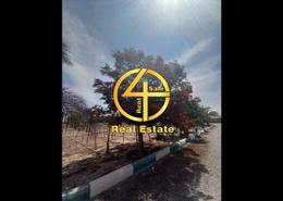 Farm for sale in Al Hili - Al Ain