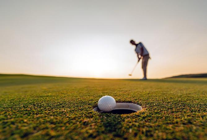 16018678 - Property Image 3