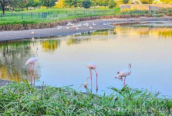 15883438 - الصورة الرئيسية للعقار