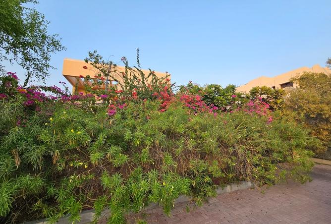 15807386 - Property Image 3