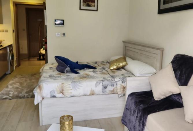 15171495 - صورة العقار 3