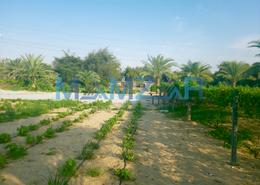 Farm for sale in Al Bahia - Abu Dhabi