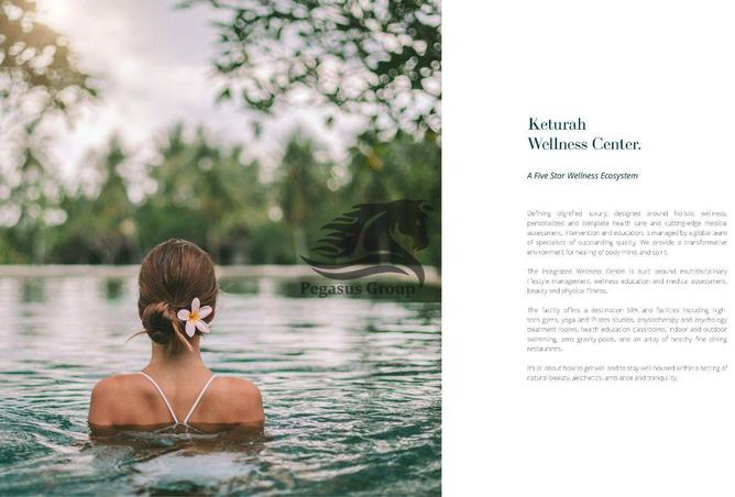 15271171 - Property Image 2