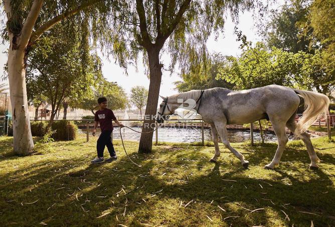 15505686 - Property Image 2