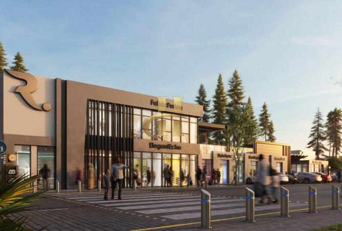 15866566 - Property Image 3