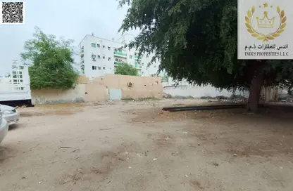 أرض - استوديو للبيع في مشروع النخيل - عجمان وسط المدينة - عجمان أرض - استوديو للبيع في مشروع النخيل - عجمان وسط المدينة - عجمان