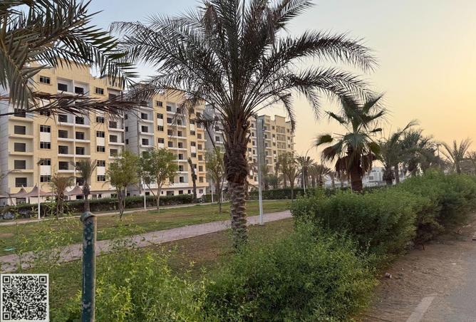 15147738 - صورة العقار 3