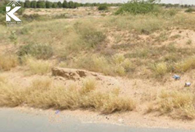 15669552 - Property Image 2