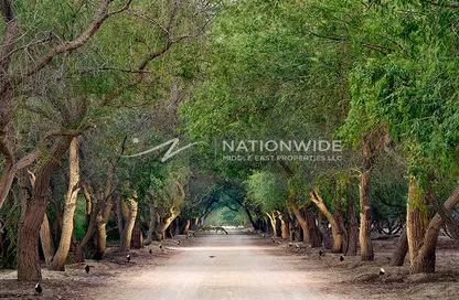Land - Studio for sale in Al Jurf Gardens - AlJurf - Ghantoot - Abu Dhabi