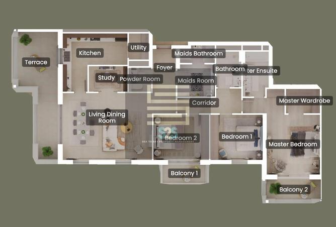 15804078 - صورة العقار 3