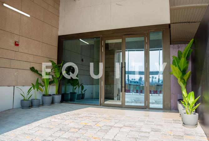 16100396 - Property Image 3