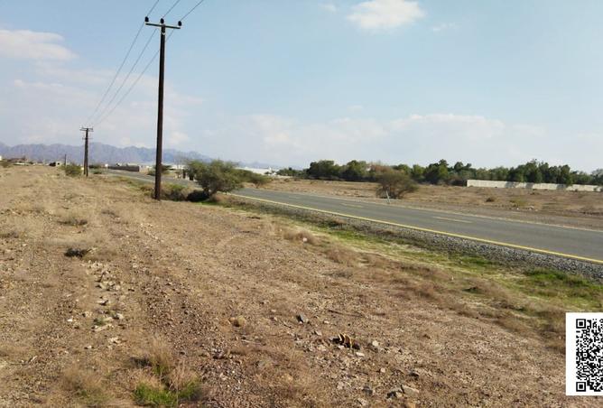 16046534 - Property Image 3