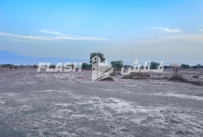 15149092 - Property Image 2