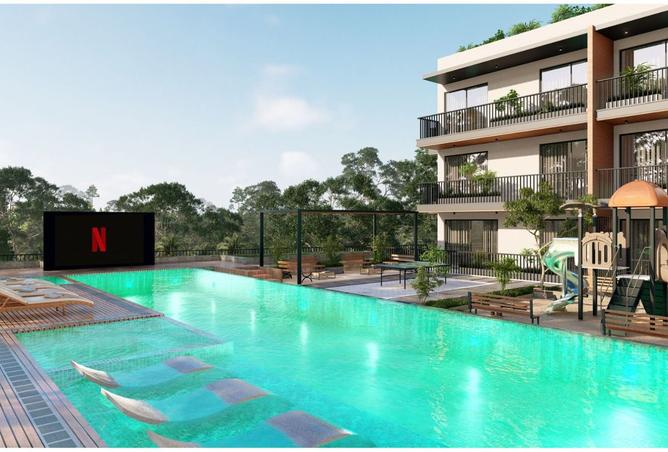 16051249 - Property Image 3