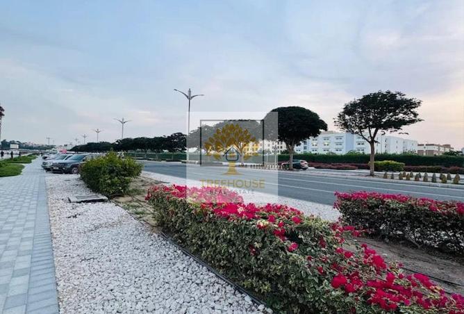 16058827 - Property Image 3