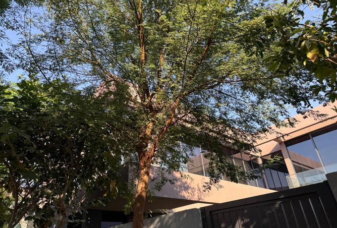 15507152 - Property Main Image