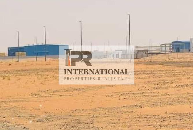 15556448 - Property Image 3