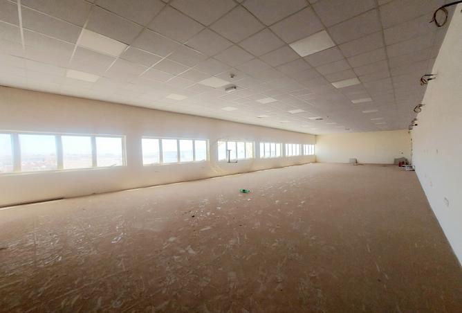 15655395 - Property Image 2