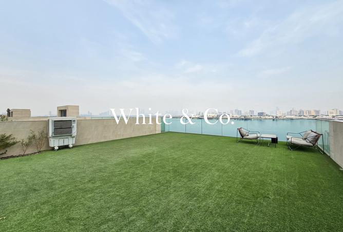 15546597 - صورة العقار 3