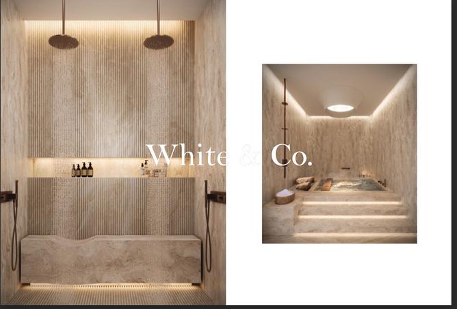 15571887 - Property Image 3