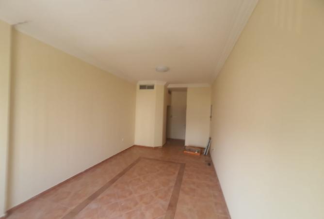 15577172 - Property Image 3