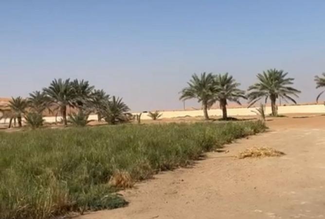 15807654 - صورة العقار 2