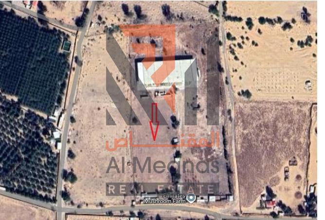 14952260 - Property Image 3