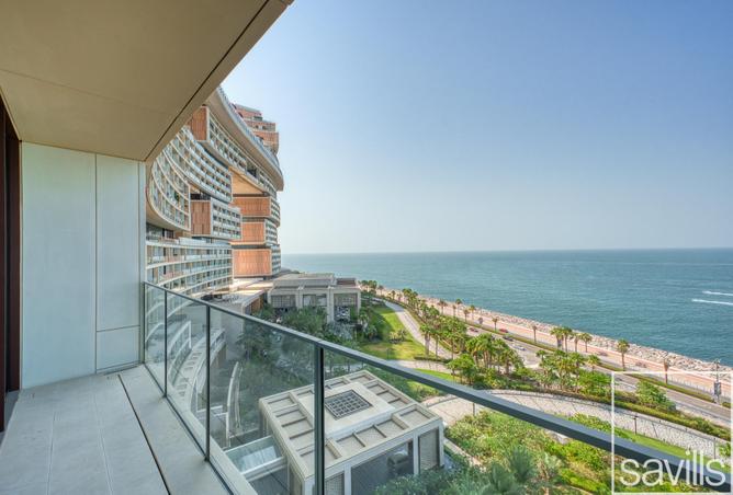 15369392 - Property Image 3