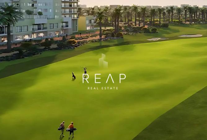 15990544 - Property Image 3