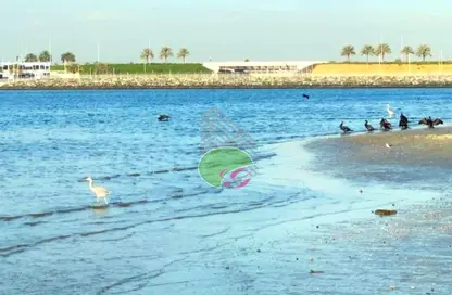 Apartment - 2 Bedrooms - 3 Bathrooms for rent in Golf Community - Al Zorah - Ajman Apartment - 2 Bedrooms - 3 Bathrooms for rent in Golf Community - Al Zorah - Ajman