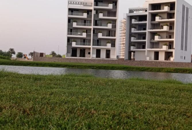 15469046 - Property Image 3