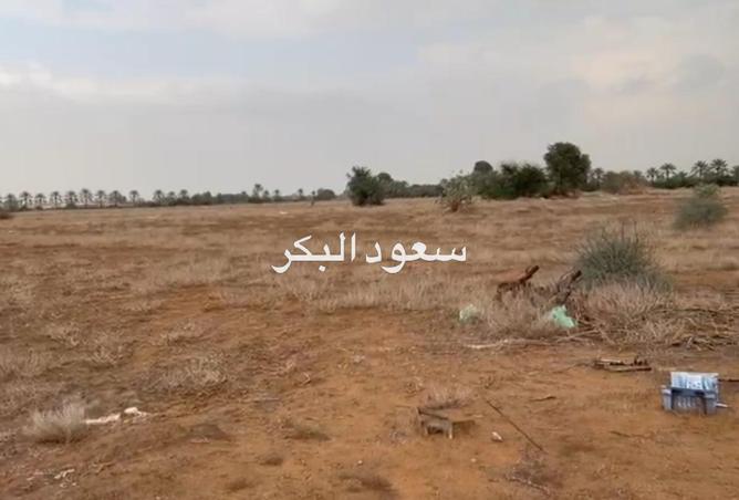 15965717 - صورة العقار 3