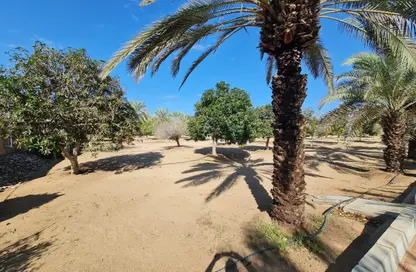 Farm - Studio for sale in Al Khatim - Abu Dhabi