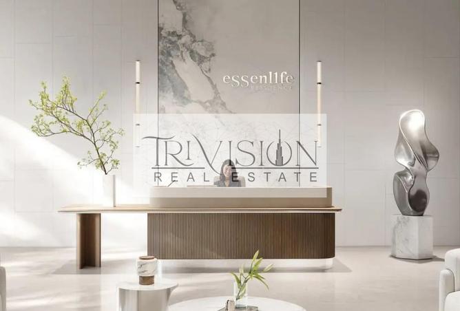 15569787 - Property Image 3