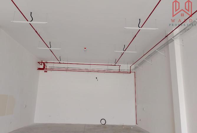 14153986 - Property Image 2