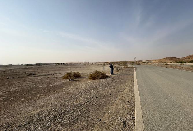 15596229 - Property Image 3