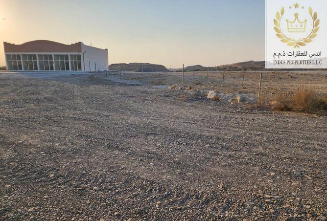 15434049 - Property Image 3