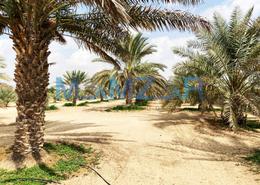 Farm - 6 bathrooms for sale in Sweihan - Al Ain