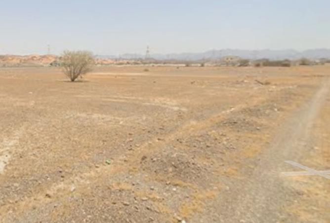 15784764 - Property Image 2